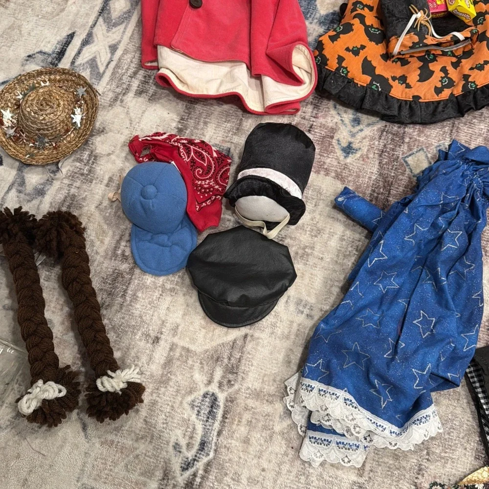 Porch Goose Outfit Lot 20+ With Accessories Holiday Summer Elvis Halloween